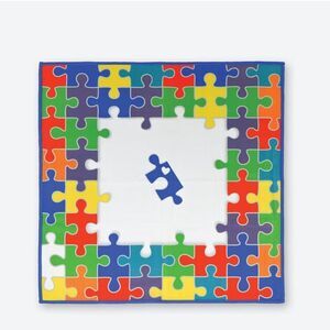 Norwex Window Cloth Puzzle Pieces Limited Edition NWT